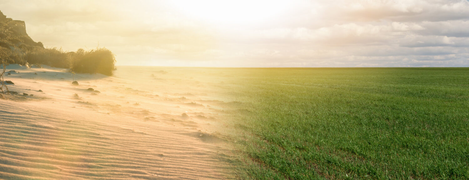 TÉCNICA REVOLUCIONÁRIA TRANSFORMA AREIA DO DESERTO EM TERRA FÉRTIL